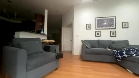 Santana online show from February 21, 2026, 6:03 am