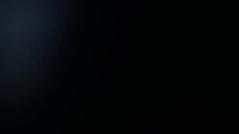  1 online show from January 9, 2025, 2:29 pm