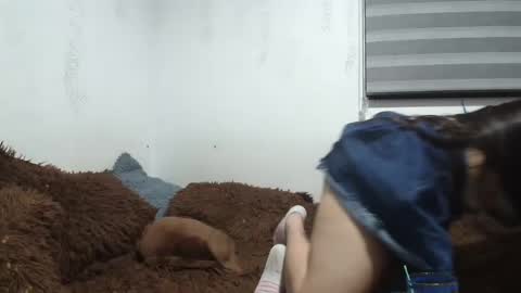 sara and thomas online show from January 12, 2025, 2:24 am