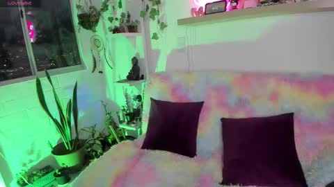 Sarah NEW ACCOUNT online show from February 3, 2026, 11:21 pm