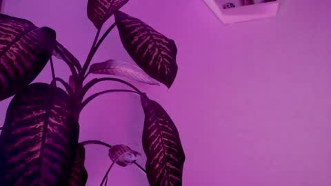 Saray  online show from March 24, 2026, 4:17 am