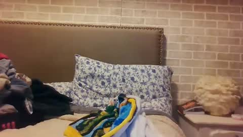 Sara online show from December 15, 2024, 12:07 am