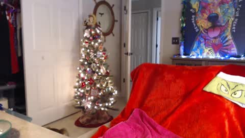 Trish online show from January 1, 2025, 7:41 am