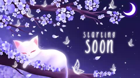 Sassy Sami Kittyn online show from September 22, 2025, 5:31 am