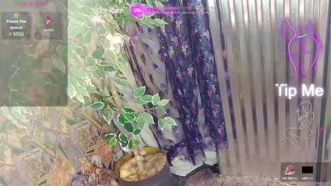 Snapshot of sassylatin45 chatting on January 12, 2025, 1:21 am sassylatin45 online show from January 12, 2025, 1:21 am