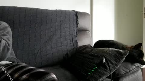 saulcontigo online show from January 28, 2025, 10:23 am