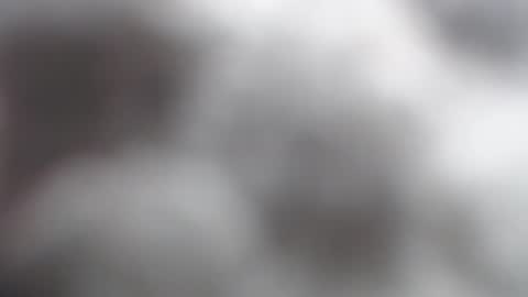 savagebarbie01 online show from November 2, 2025, 10:06 am