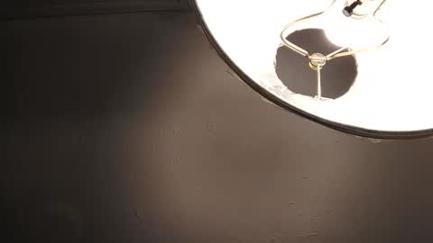 sayhi2mylilguy online show from February 7, 2025, 10:50 am