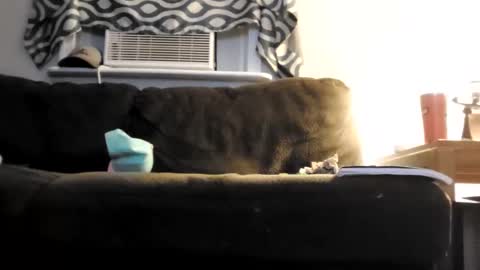 sayhi2mylilguy online show from February 25, 2025, 5:41 am