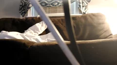 sayhi2mylilguy online show from February 27, 2025, 7:15 pm