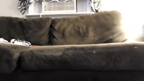 sayhi2mylilguy online show from March 1, 2025, 8:23 am