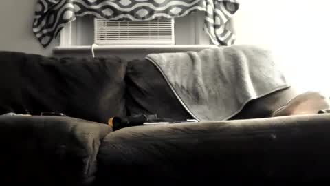 sayhi2mylilguy online show from March 9, 2025, 8:07 am