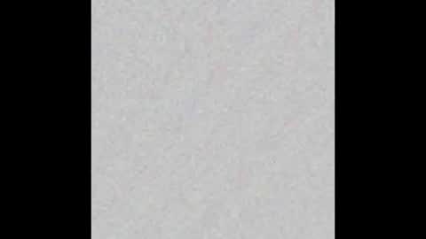 Venus online show from February 17, 2025, 11:23 am