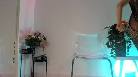 Snapshot of scarletflameee chatting on May 7, 2026, 5:35 am Amira online show from May 7, 2026, 5:35 am