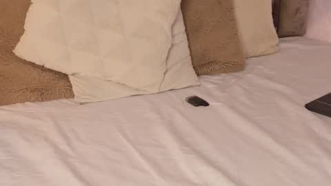 Scarleth  online show from October 16, 2025, 6:14 am