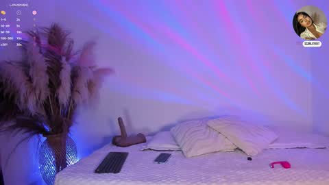 scarlet  online show from February 10, 2026, 11:03 am