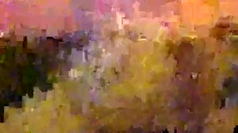 scott1usa online show from January 21, 2025, 11:02 pm