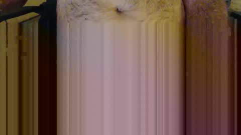 scott1usa online show from March 6, 2026, 9:00 pm