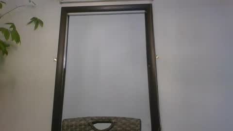 scottpbi52 online show from January 20, 2025, 1:00 pm