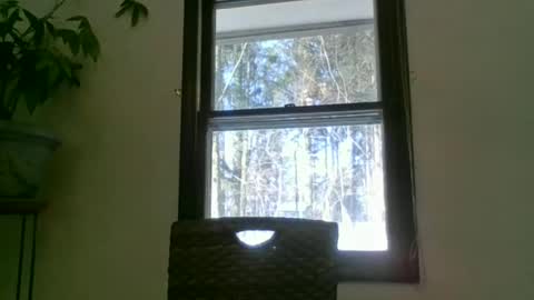 scottpbi52 online show from January 22, 2025, 2:14 pm