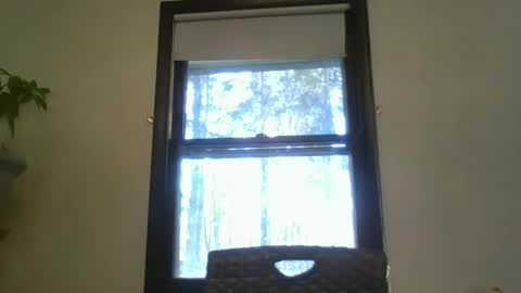 scottpbi52 online show from February 7, 2025, 7:27 pm