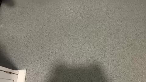 Snapshot of scottyc48 chatting on December 17, 2025, 11:05 am scottyc48 online show from December 17, 2025, 11:05 am