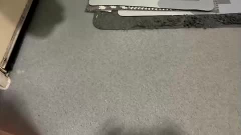 Snapshot of scottyc48 chatting on December 19, 2025, 7:48 am scottyc48 online show from December 19, 2025, 7:48 am