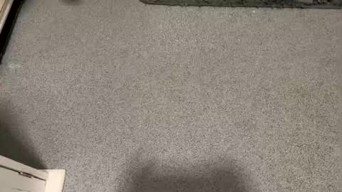 Snapshot of scottyc48 chatting on January 12, 2026, 3:17 pm scottyc48 online show from January 12, 2026, 3:17 pm