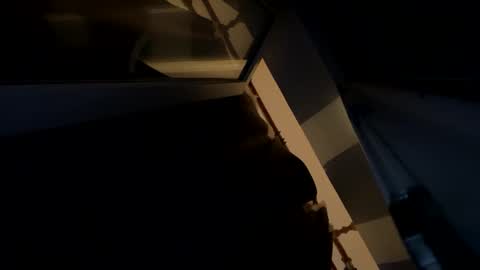 sdddisk online show from January 22, 2025, 7:45 pm