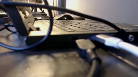 sdodgerxx online show from February 6, 2025, 8:45 pm