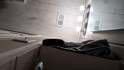 Arin online show from April 22, 2026, 9:55 am