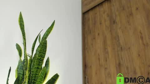 sebastian online show from April 21, 2026, 2:51 am