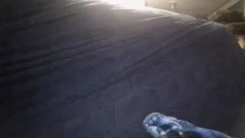 Sunny online show from February 24, 2026, 3:37 am