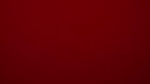 seeus24 online show from February 15, 2025, 5:39 pm