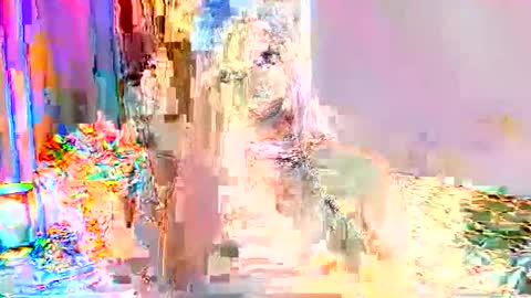 Selena online show from September 24, 2025, 1:31 am