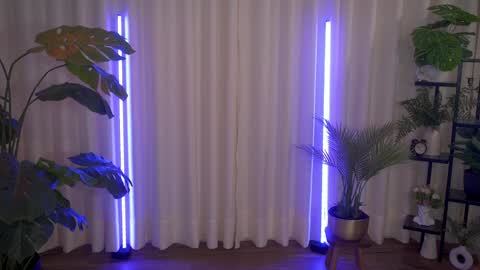 Maria- OF sensual bee online show from December 6, 2024, 12:23 am