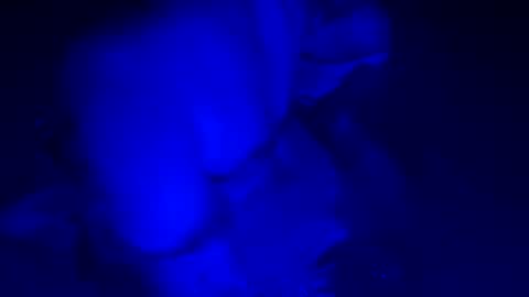 Snapshot of sensualsilhoutte chatting on July 11, 2026, 4:04 am sensualsilhoutte online show from July 11, 2026, 4:04 am