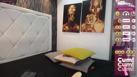 Setsuna  online show from January 13, 2025, 1:06 pm