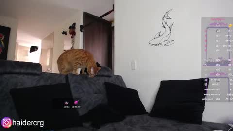 Snapshot of setth_69 chatting on February 7, 2026, 6:00 pm setth online show from February 7, 2026, 6:00 pm