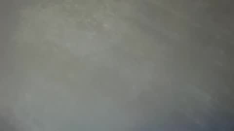 Lily online show from January 12, 2025, 1:11 am