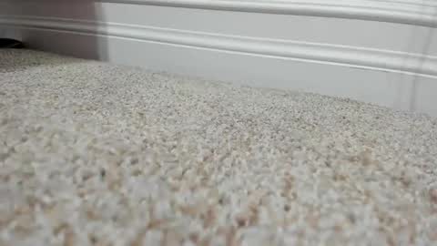 FerrariManni online show from December 9, 2024, 2:28 pm