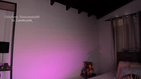 ... Camila ... online show from December 30, 2024, 4:40 pm