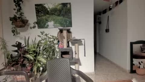         online show from April 21, 2026, 11:29 pm