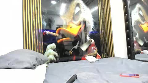 sexy78michell online show from February 14, 2026, 2:19 am