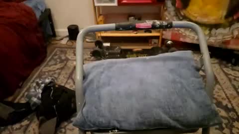 Cayden online show from January 23, 2025, 11:58 am