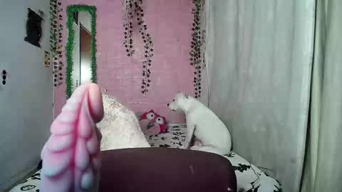 sexy lolas online show from February 20, 2026, 2:19 am