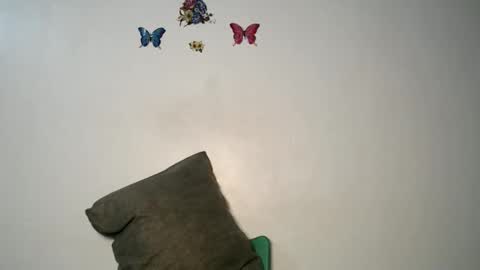 Luna online show from November 22, 2025, 10:42 pm