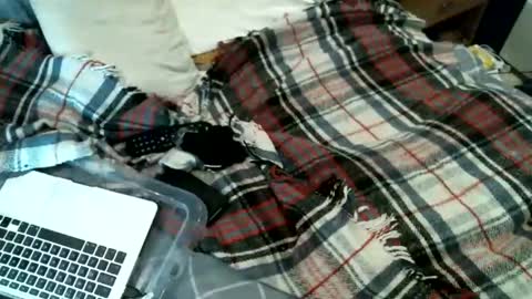 sexybiman74 online show from January 31, 2026, 10:52 pm