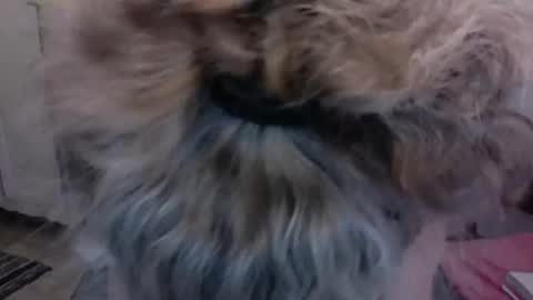 SexyFit58 online show from December 15, 2024, 1:57 am