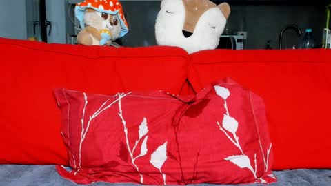 Snapshot of sexyfoxyari chatting on December 16, 2024, 5:11 pm Ari online show from December 16, 2024, 5:11 pm